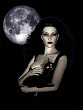 Black Cat