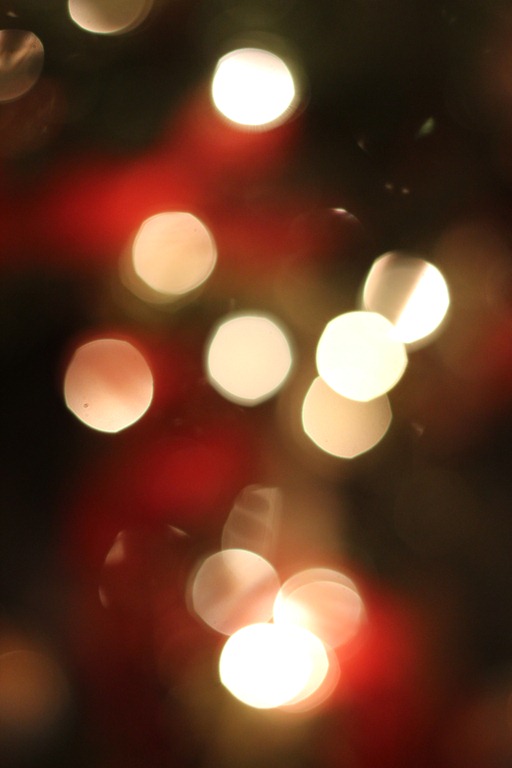 [IMG_2005%255B3%255D.jpg]