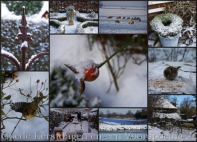 [Winterpret%252020092%255B15%255D.jpg]