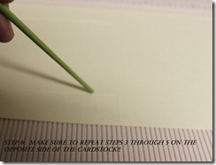 IMG_1262 IMG_1262