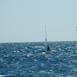 DSC_0168.JPG