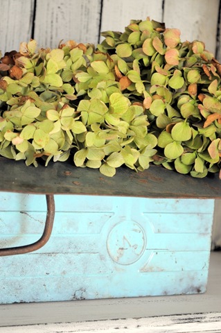 [hydrangeas%2520in%2520toolbox%255B3%255D.jpg]