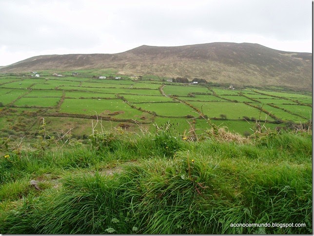 Peninsula de Dingle. Paisajes camino de Dingle - P5060951