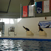 hokkaido_366.jpg