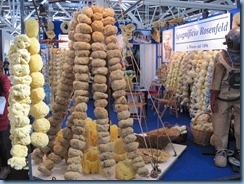 IMG_1732 IMG_1732