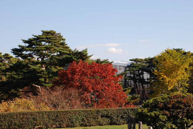 hokkaido_150.jpg