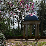 P1050764e.jpg