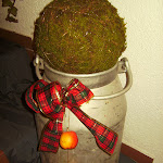 BILD4253.JPG