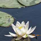 IMG_7605.JPG