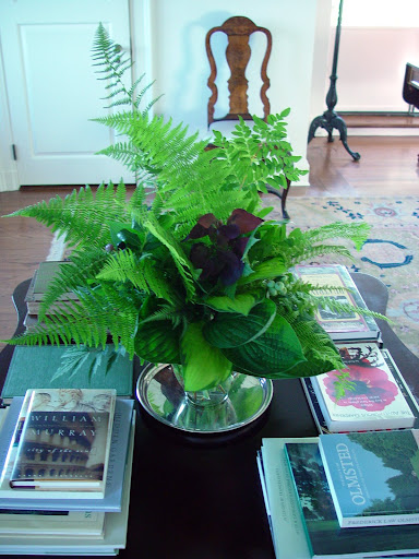 Ferns and hosta - just a sampling from Martha's impressive collection.
