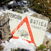 XA123568.JPG