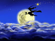 Witch On Broom