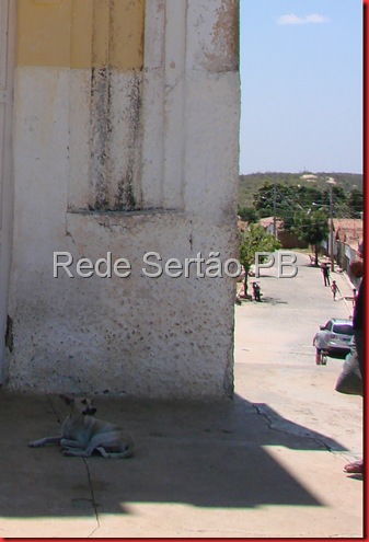 DSC07362