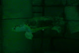 2011-11-07 11.31.32.jpg