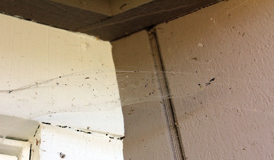 [110915_spiderwebs_01%255B2%255D.jpg]