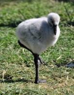 [clip_image004%255B21%255D.jpg]