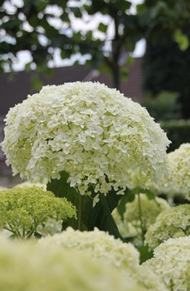 004_thumb5 004_thumb5