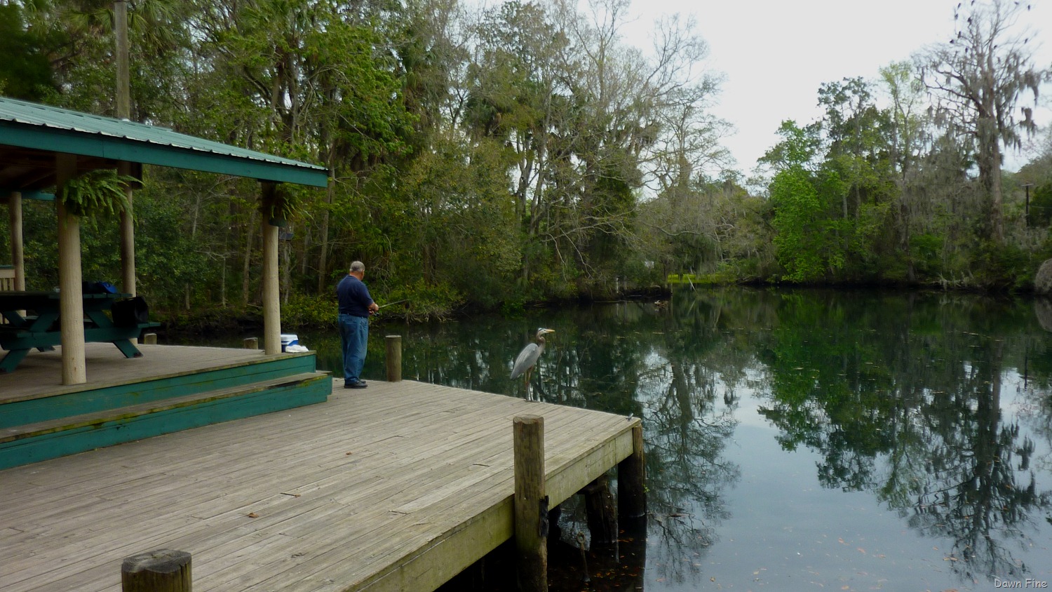 [Chassahowitzka%2520River%2520%2520area_004%255B3%255D.jpg]