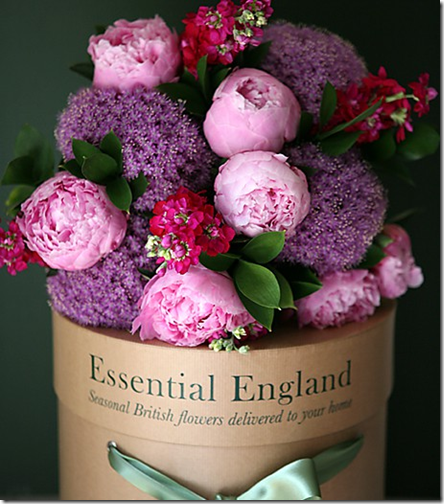 pink and purple flowers via inspired-desing.tumblr