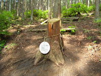 R0010350.JPG Photo