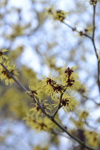 20130205_172754