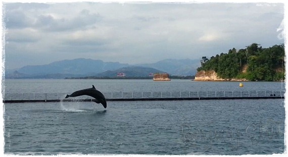 20130308_162032_73219