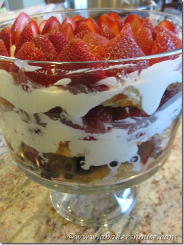 finished berry trifle