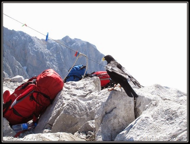 Picos 171 Picos 171