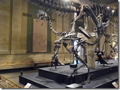 Kenosha Dinosaur Museum 023