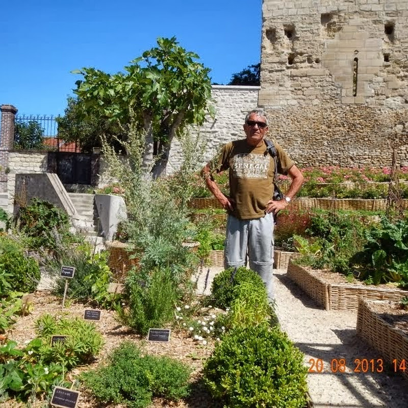 CONFLANS STE HONORINE