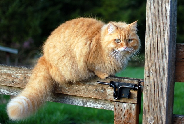 [DSC_5551%255B8%255D.jpg]