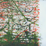 image9.jpg