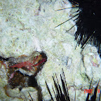DSC00117.JPG