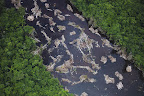 A further concern is that much of Belo Monte's energy output seems destined to power energy-intensive industries in the region, mostly mining and aluminium, meaning more deforestation and community displacement in the future.
Photograph: Daniel Beltrá/Greenpeace