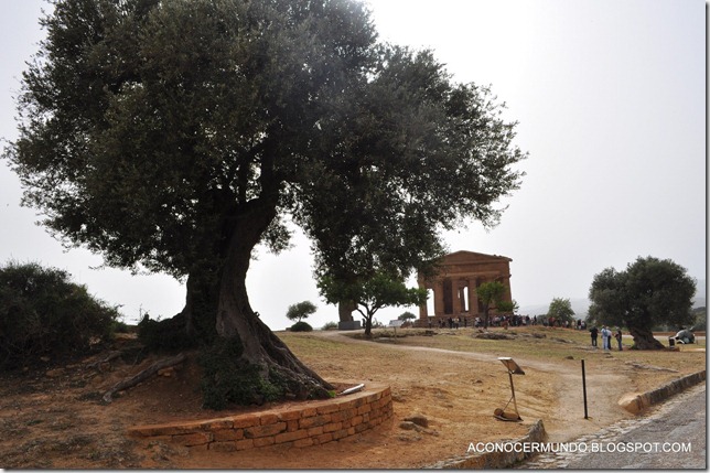 DSC_0087-Agrigento