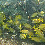 IMG_1585.JPG
