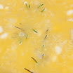 20110206-133037.jpg