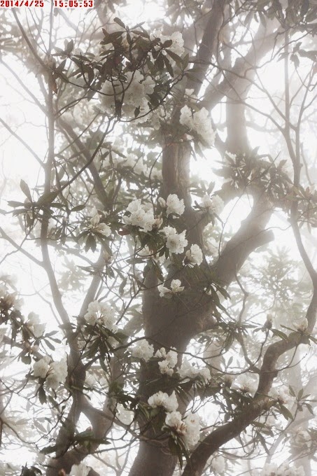 2014_0425_150553 2014_0425_150553