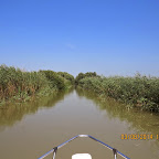 IMG_5751.JPG