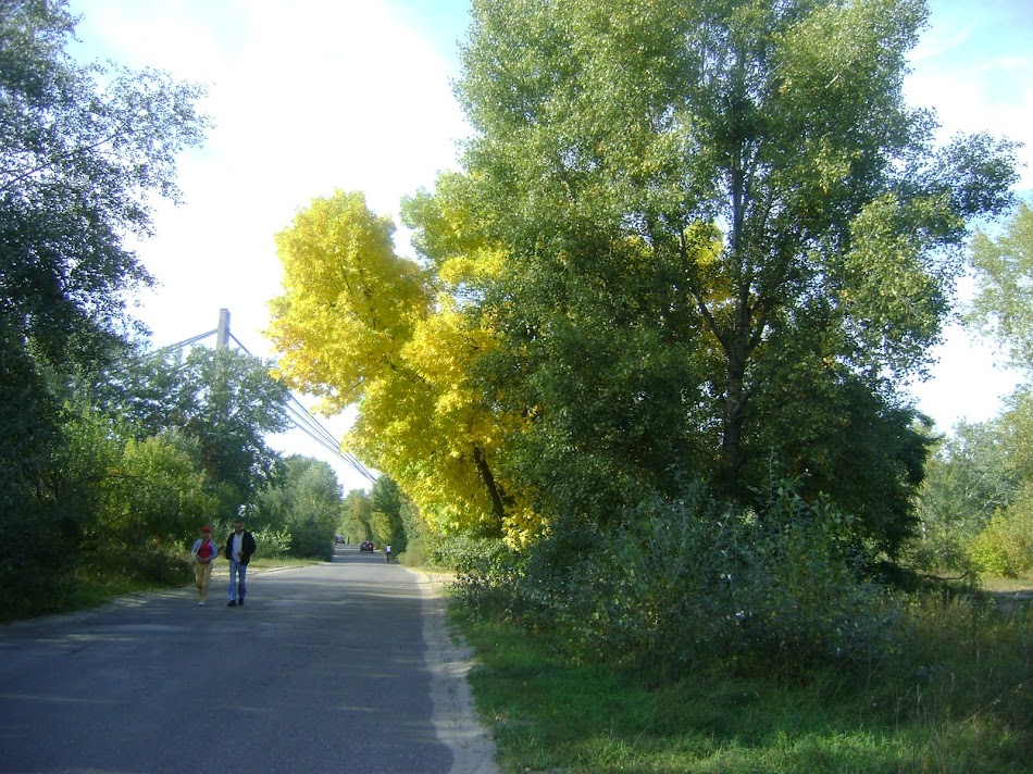 DSC04088.JPG