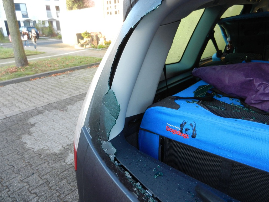 [image007%255B3%255D.jpg]