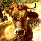 IMG_0086.JPG