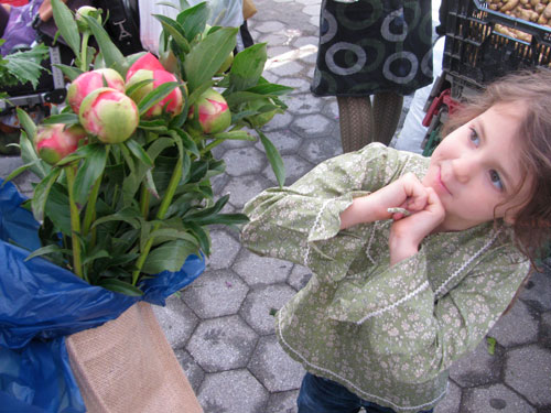 Couldn’t resist the beautiful peonies!