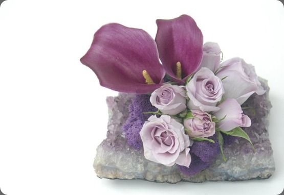 182970_199045126788075_159860124039909_760381_7373387_n  seed floral