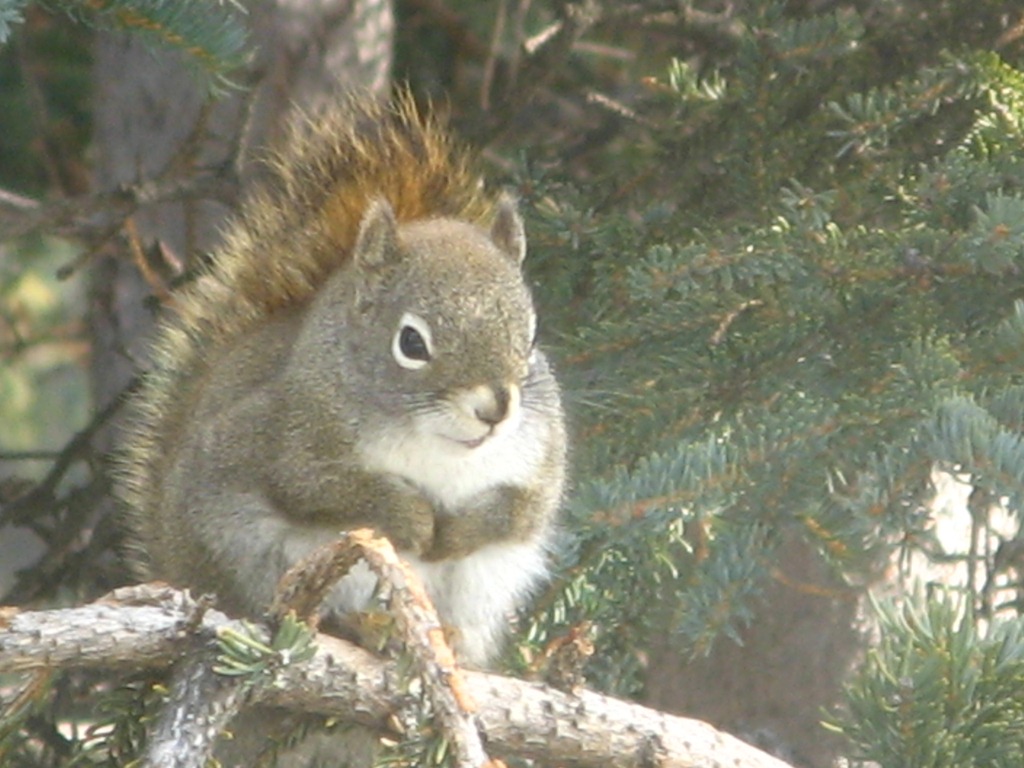 [IMG_6229%255B4%255D.jpg]