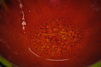 2012-12-12 Slideshow