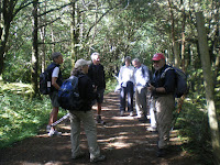 History in Ancient Forest
