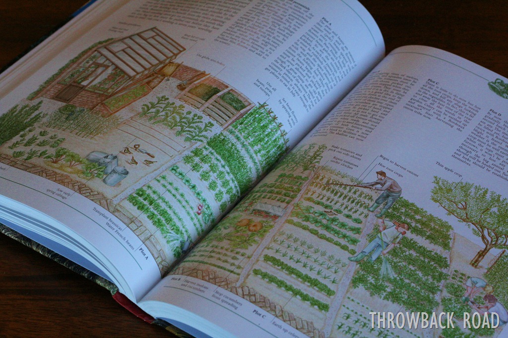 [self%2520suf%2520book%2520012%255B3%255D.jpg]