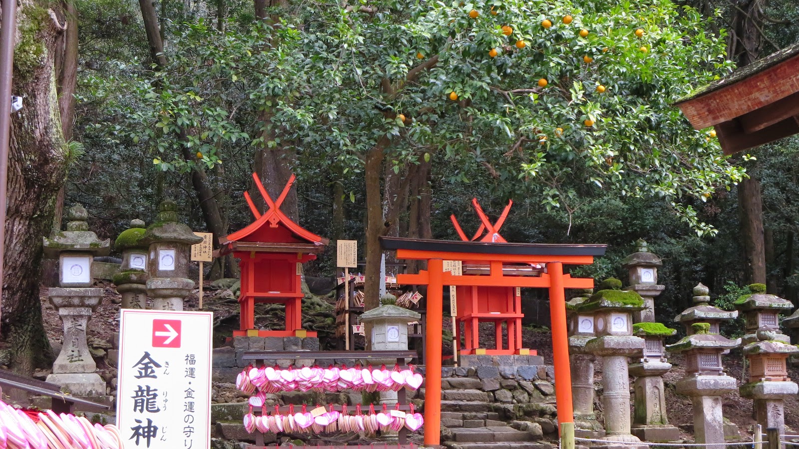 [IMG_2429%255B3%255D.jpg]