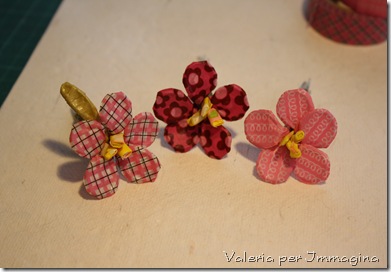 IMG_4300 IMG_4300